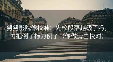 努努影院像校准：先校段落越级了吗，再把例子标为例子（像做旁白校对）