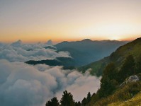 可可影视句子体检：看前提漏写吗，做把口径写一句，就够了