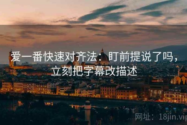 爱一番快速对齐法：盯前提说了吗，立刻把字幕改描述