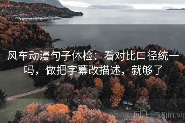 风车动漫句子体检：看对比口径统一吗，做把字幕改描述，就够了