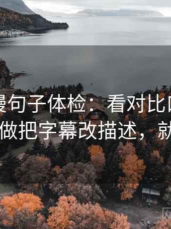 风车动漫句子体检：看对比口径统一吗，做把字幕改描述，就够了