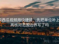 读西瓜视频用快捷键：先把单位补上，再核对范围边界写了吗