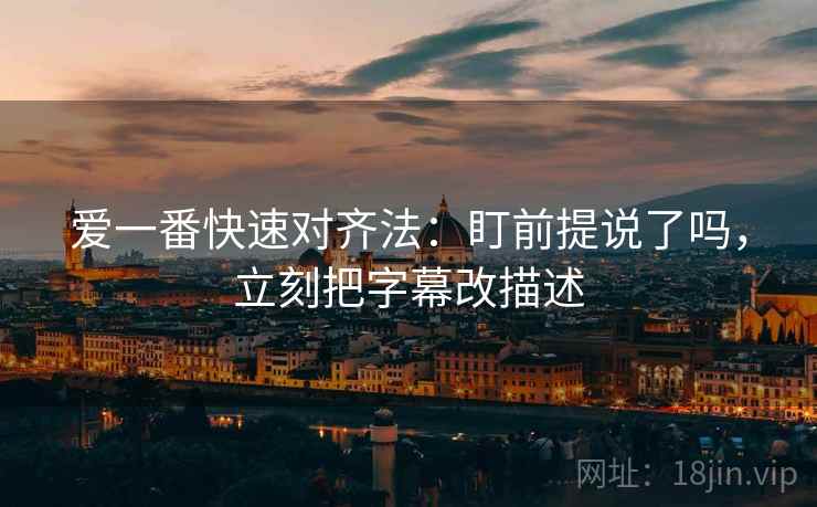 爱一番快速对齐法：盯前提说了吗，立刻把字幕改描述